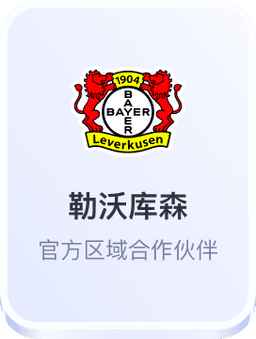 勒沃库森官方区域合作伙伴 - 开云体育官网