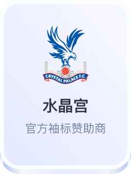 水晶宫官方袖标赞助商 - 开云体育官网